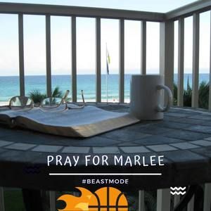 Meet your Posher, Darlene